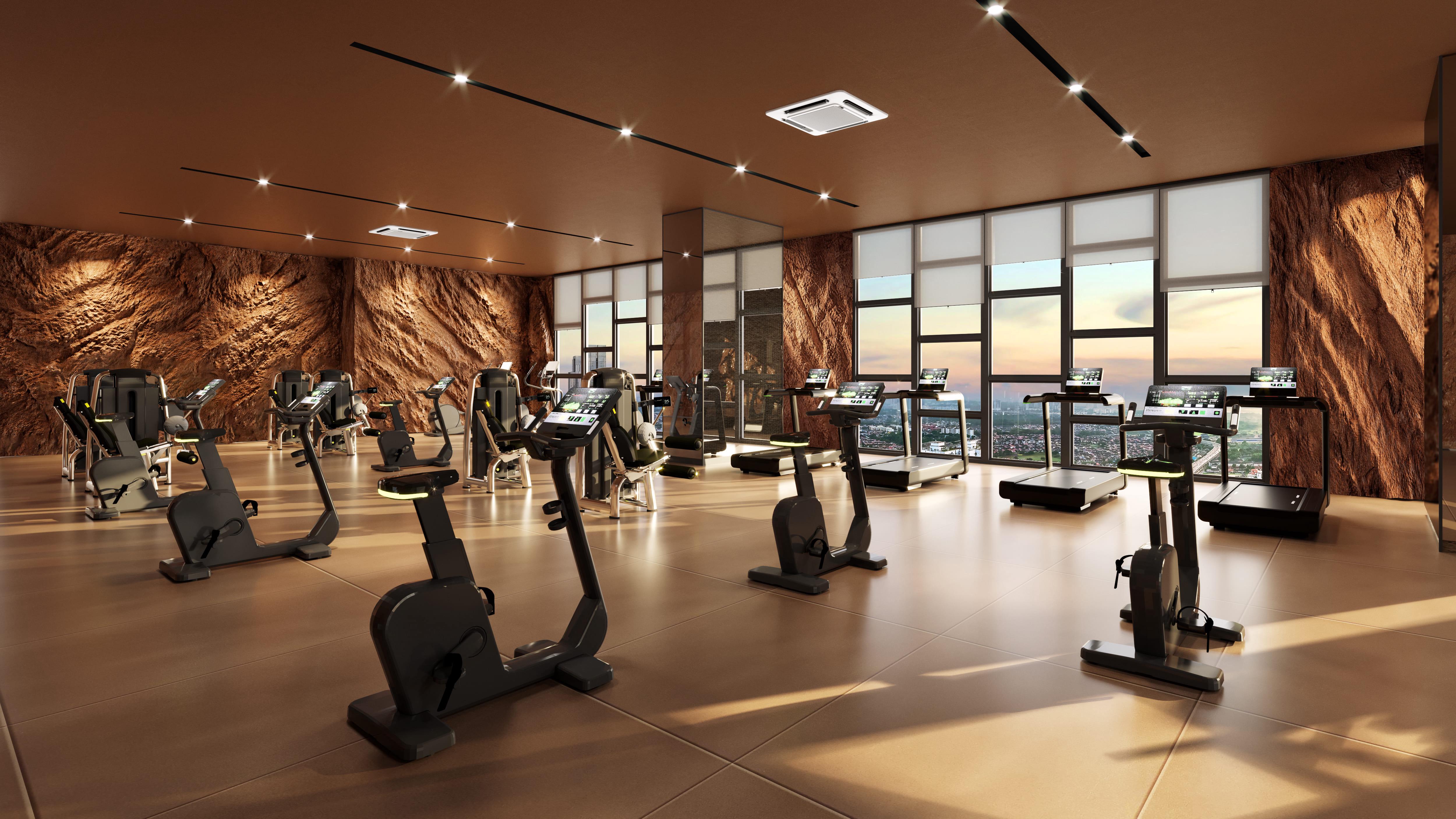 Sky Gym with City Views